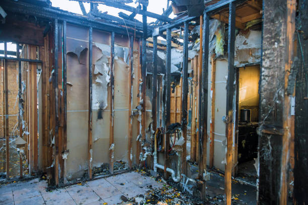 Professional Fire Damage Assessment technician working in Winamac, IN